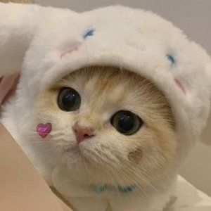 Meet your Posher, Mars Mellow